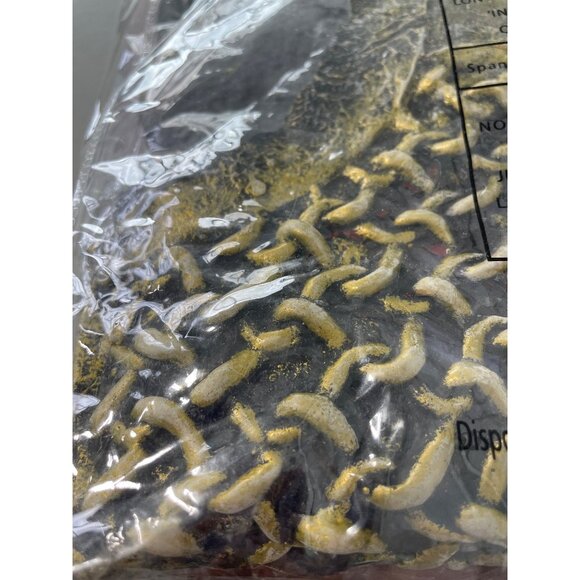 Centurion Warrior Costume Gladiator Spartan Size XL Leg Avenue 5 Pc Costume NEW - Picture 6 of 7